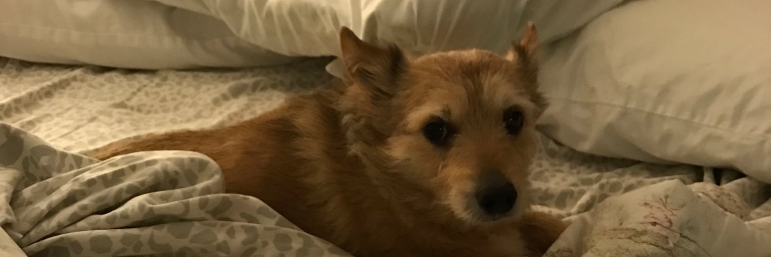 heathertag23's profile banner image