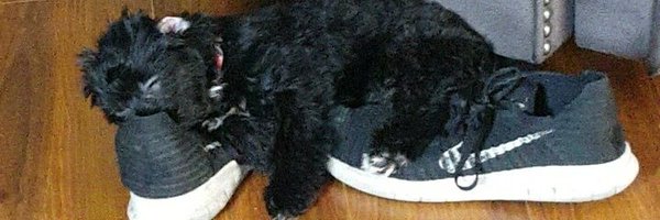 baemorestan Profile Banner