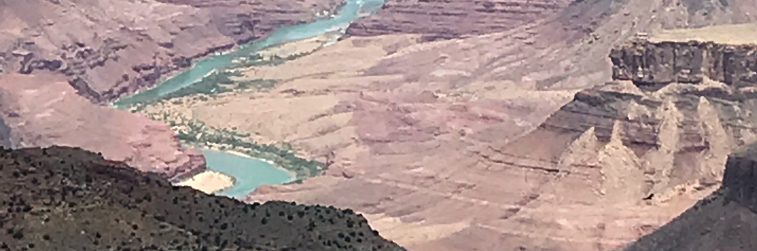 LENelson49's profile banner image