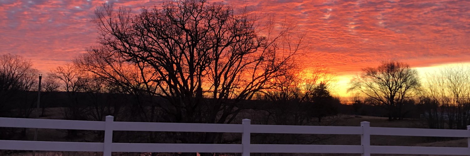 JociRenee's profile banner image