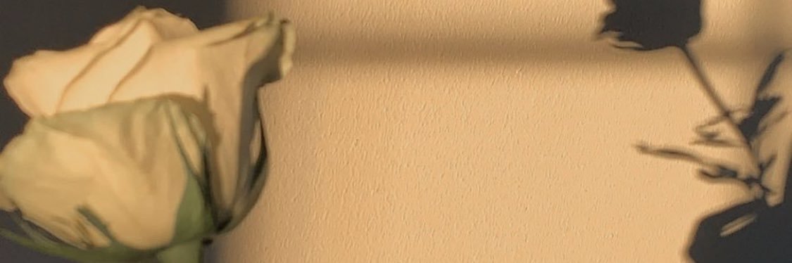 alexiaotero's profile banner image
