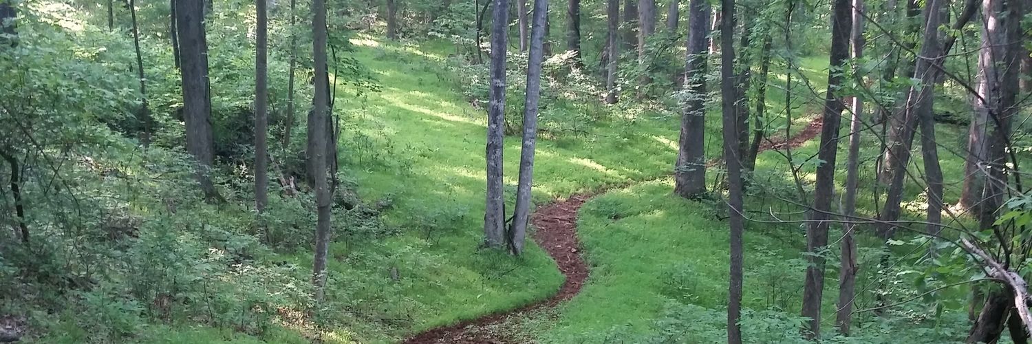 todmo75's profile banner image