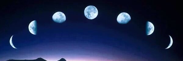 joleespears's profile banner image