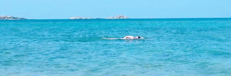 Falko Sieverding banner