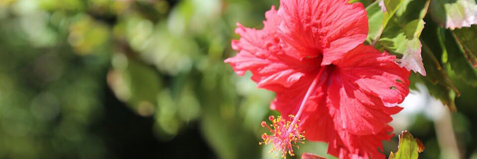 Slash12316's profile banner image