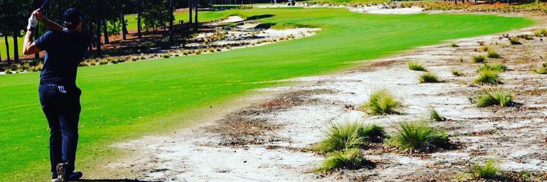 Taylor Wall ⛳ banner
