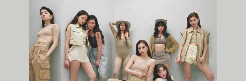 ViVi's banner