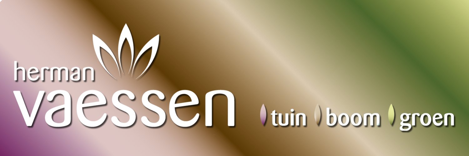 VaessenRalf's profile banner image