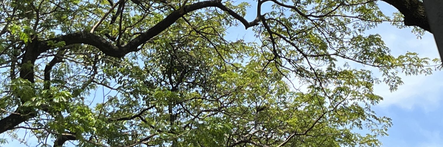 My Journey🗺 banner