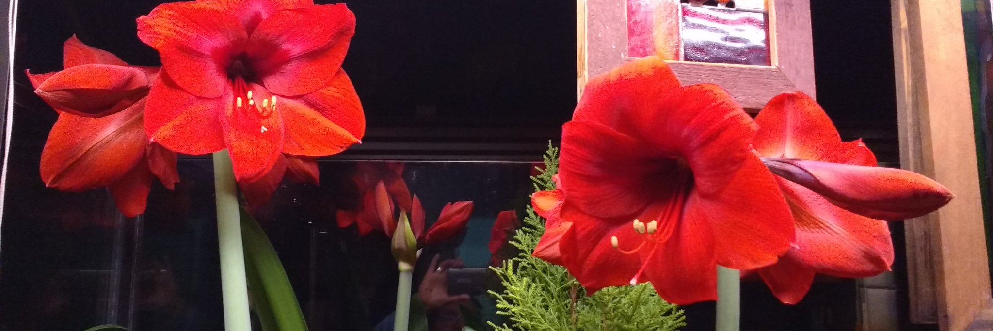 Hort444Short's profile banner image