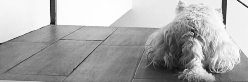 Mai_CQP's profile banner image