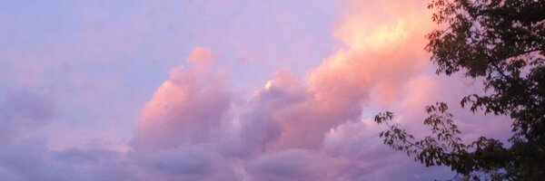 DALupton Profile Banner
