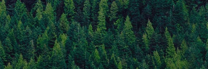 Watro_'s profile banner image