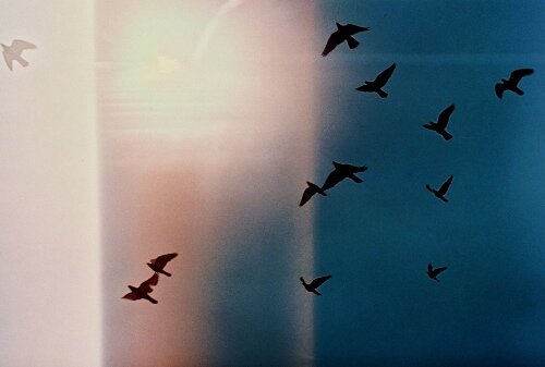 oo_hado's profile banner image