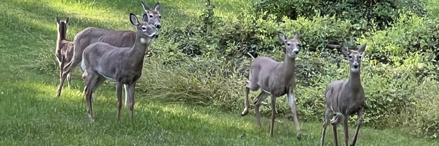 Mark Klapper🌻🟦 banner