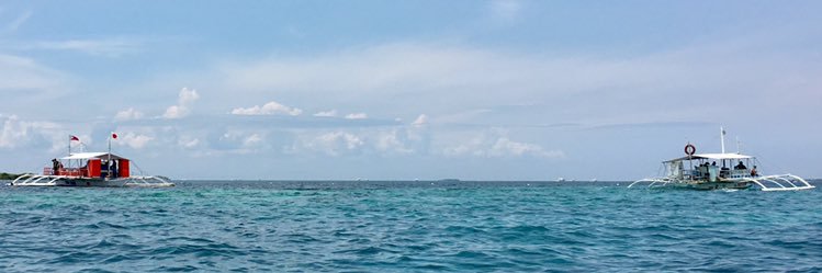MargaaaP's profile banner image