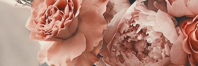 La canelita chula 🔥💓 banner