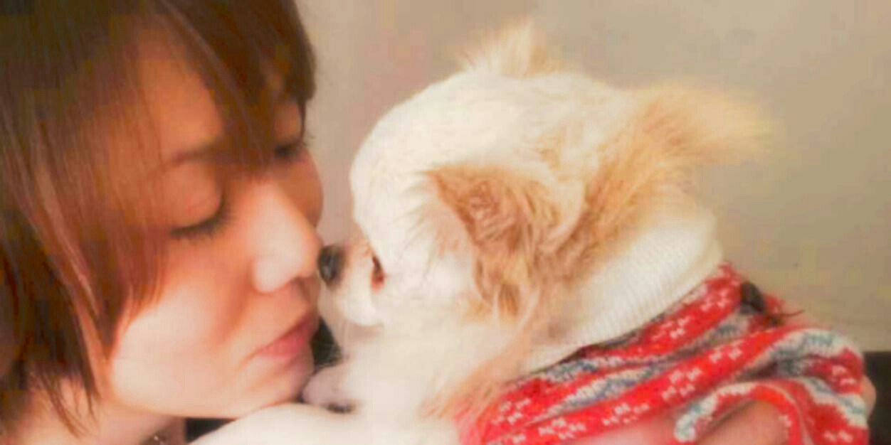 statice_pkt's profile banner image
