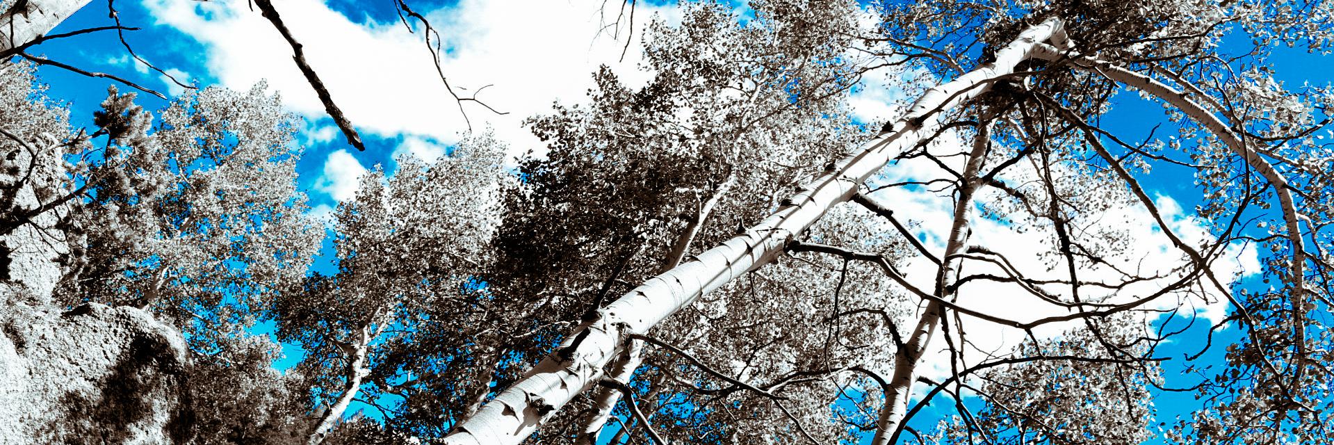 iCanSeeSounds's profile banner image