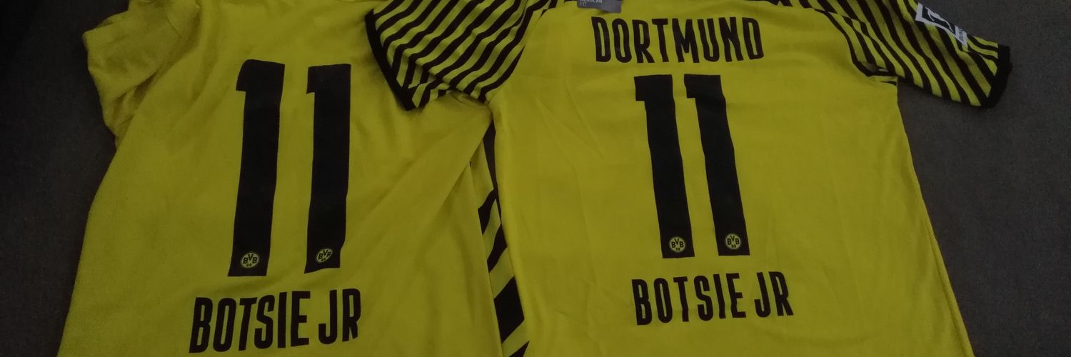 BotsieHartog's profile banner image