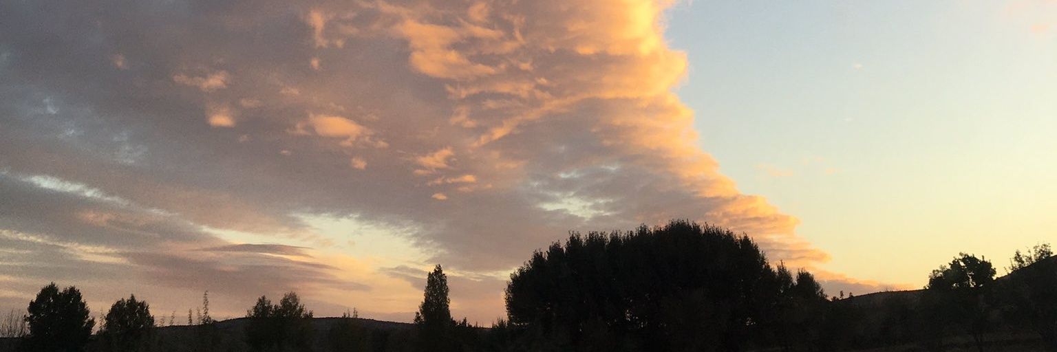 buseeorbay's profile banner image