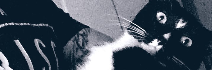 ariel_leao's profile banner image
