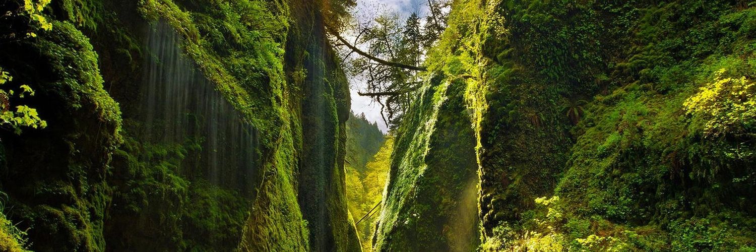 Real.Name.Phenye banner