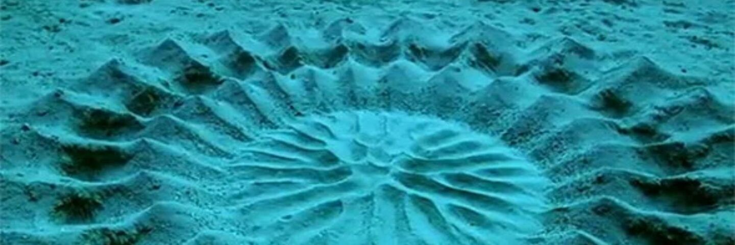 Samuelgraham5's profile banner image