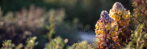 DiamondEye707 Profile Banner