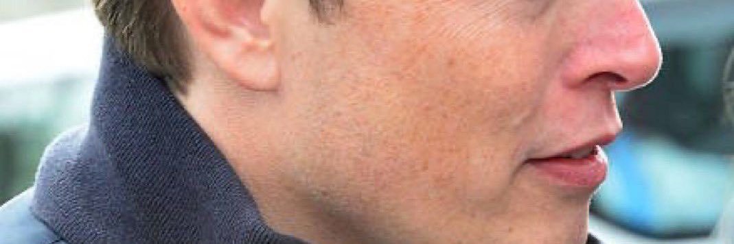 Elon__mode banner