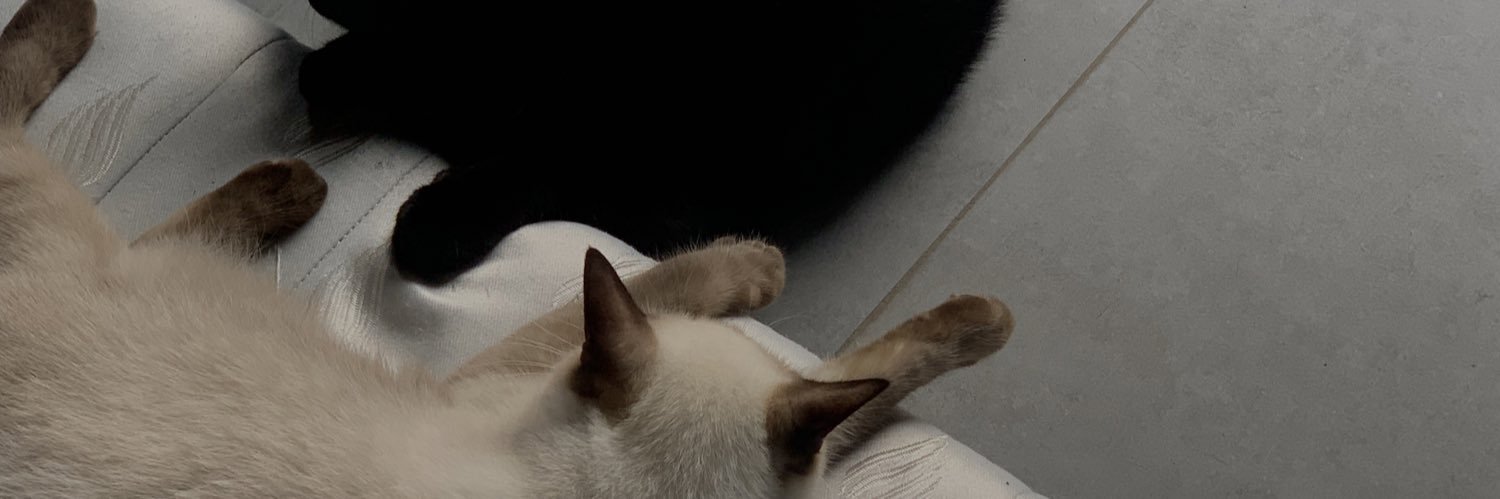 rafaellojones_'s profile banner image
