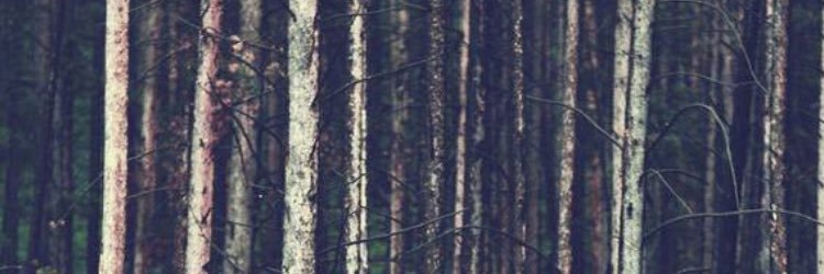 VLeandersson's profile banner image
