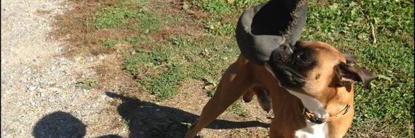 Val Baird🎈💜🌸💚 banner