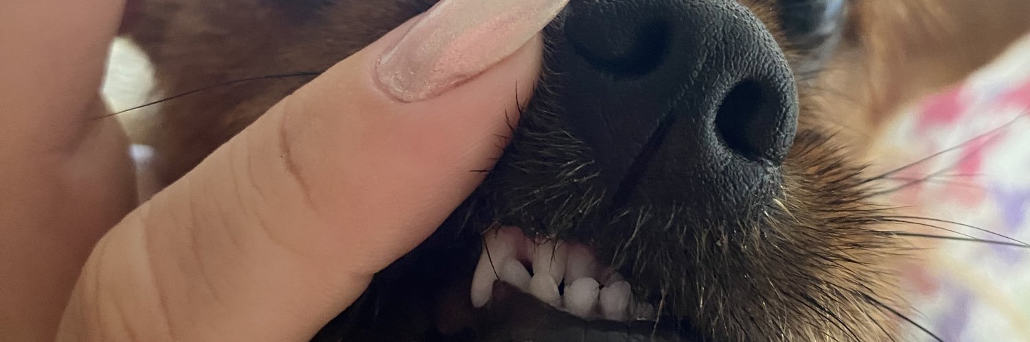 _annef's profile banner image