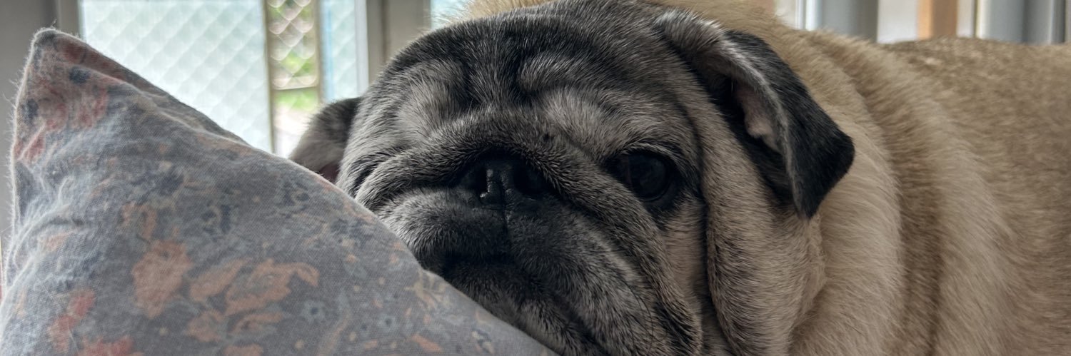 ludnm_'s profile banner image