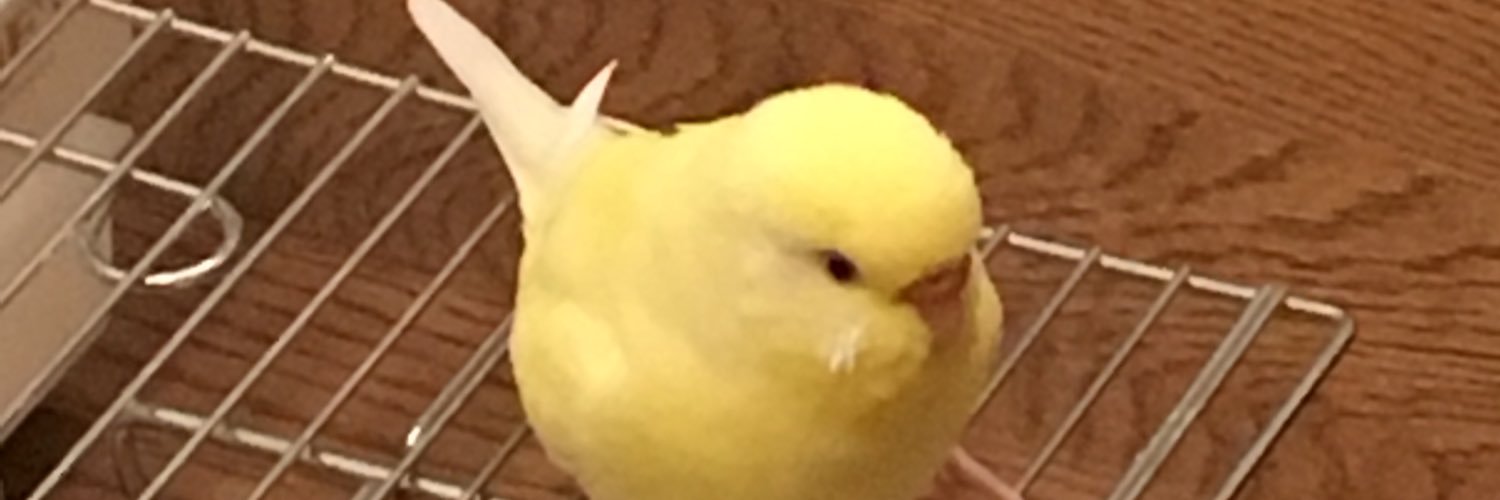 rikusei's profile banner image