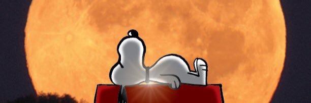 hanakotsun's profile banner image