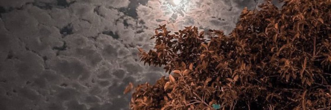 نبض القلم. banner