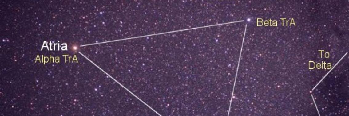 olala790's profile banner image