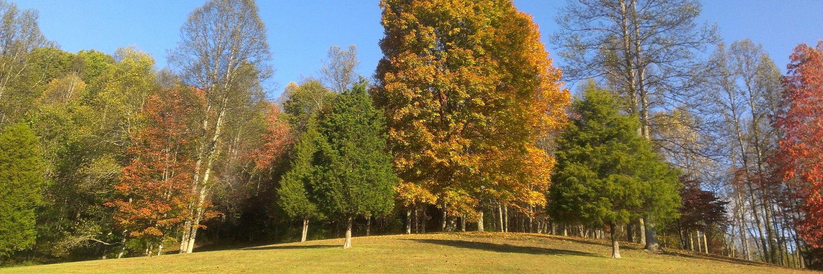 jeff_graley's profile banner image