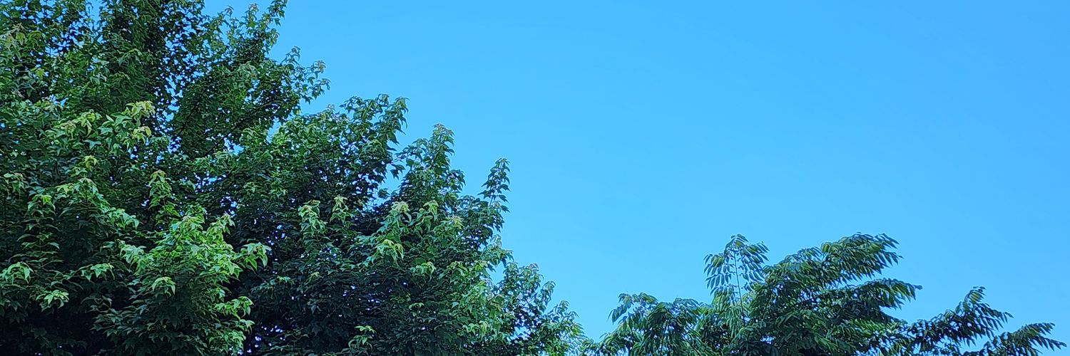 bbyongssi's profile banner image