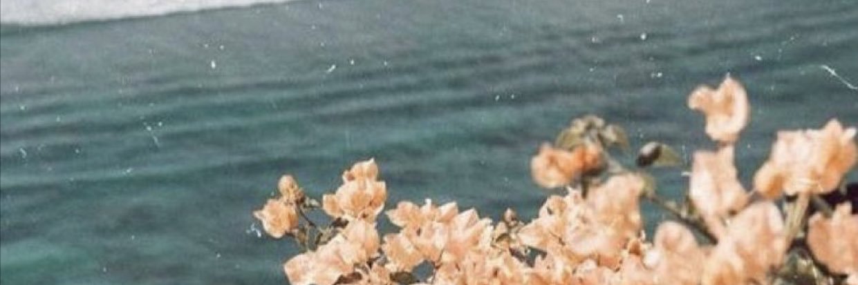 wildsinceyoung's profile banner image