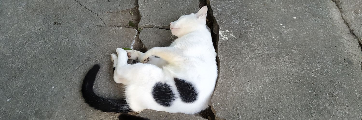 Ivan Balingit banner