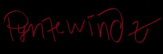 PyriteWindz's profile banner image