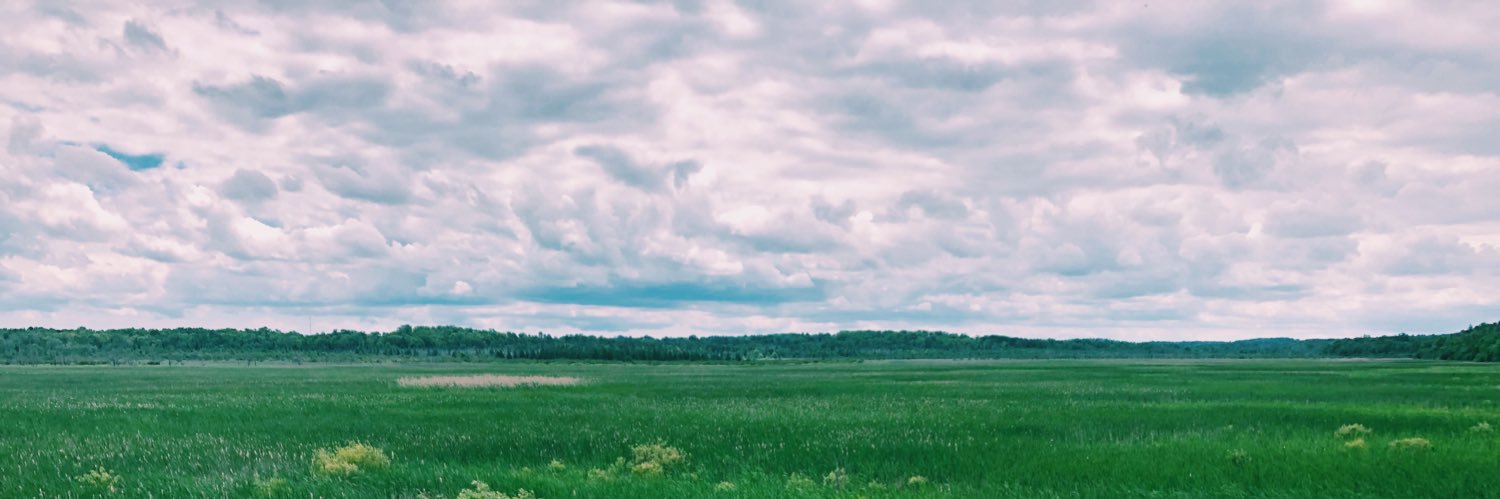 MorgannnA19's profile banner image
