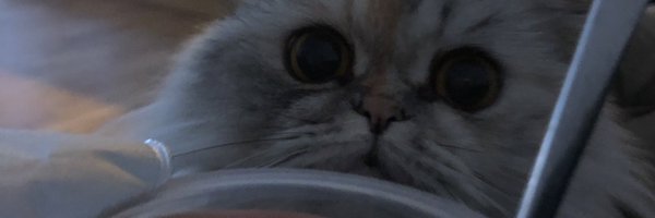 sterespect Profile Banner