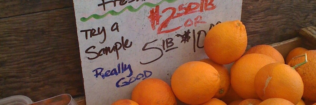 Courtney Scott banner