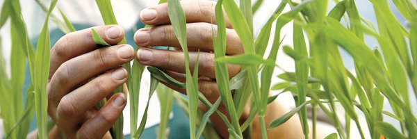 DialogBDP Profile Banner