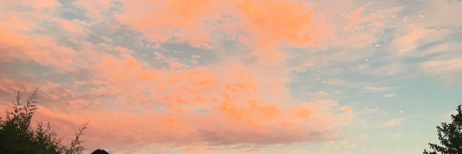emeicache's profile banner image