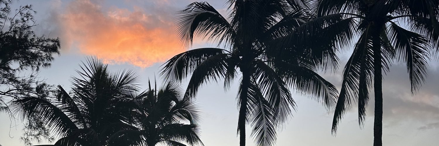 AudreyCRC's profile banner image